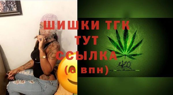 PSILOCYBIN Богородицк