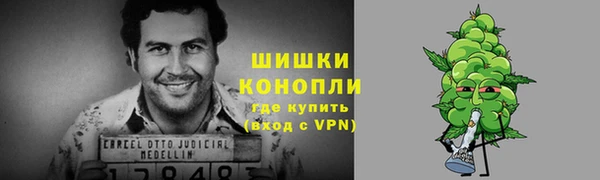 крисы Ростов