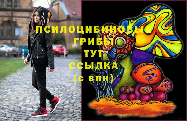 соль курить ск Богородск