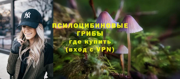 соль курить ск Богородск
